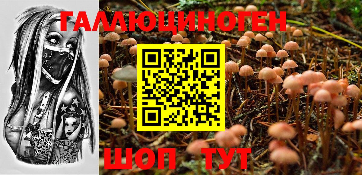 Псилоцибиновые грибы прущие грибы  Вход с VPN  Нижнекамск 